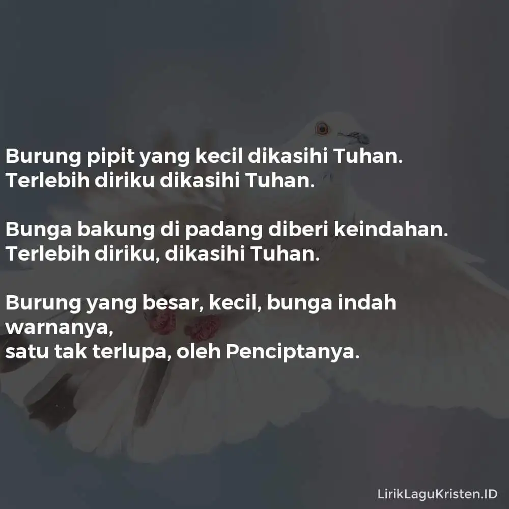 Burung Pipit Yang Kecil