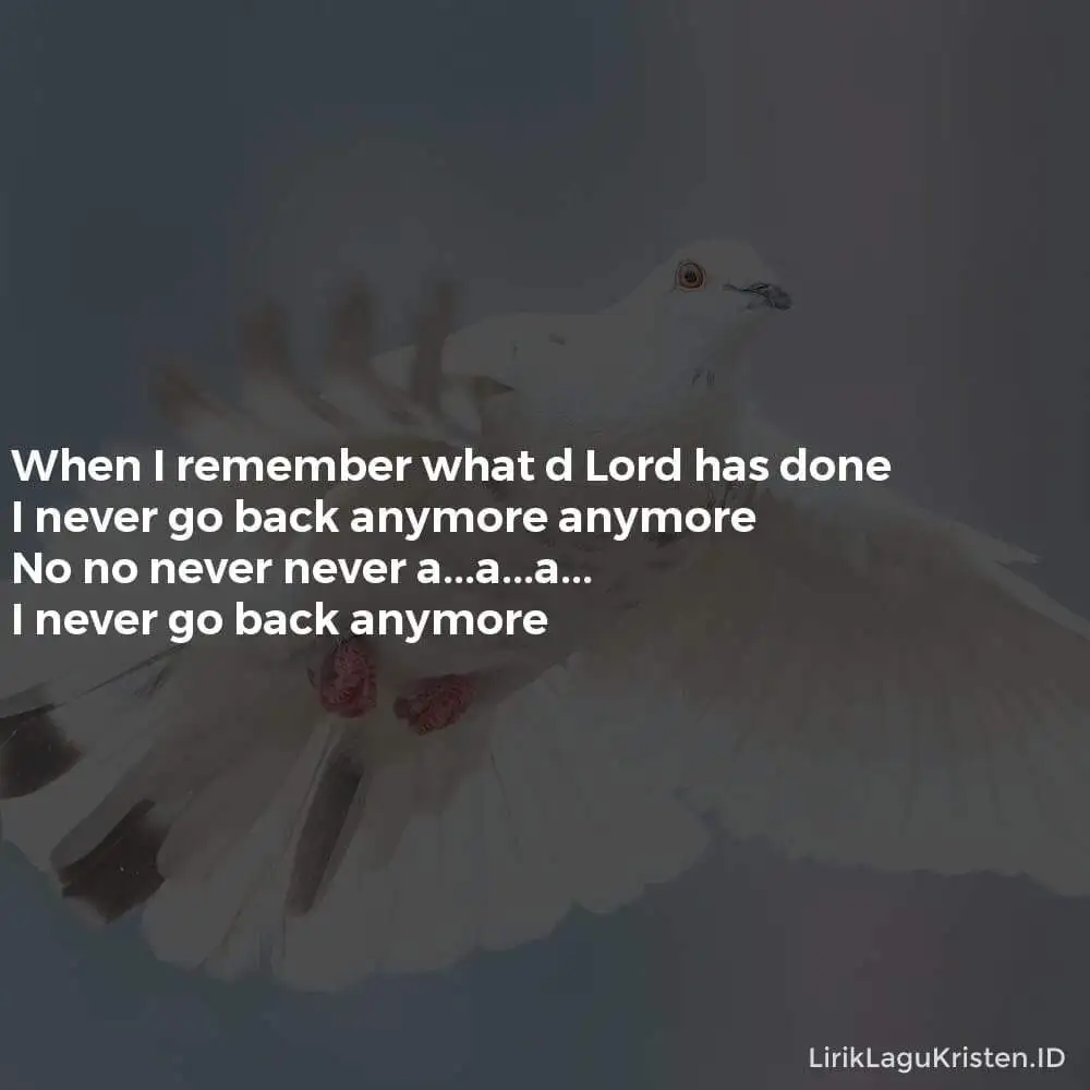 NEVER GO BACK ANYMORE