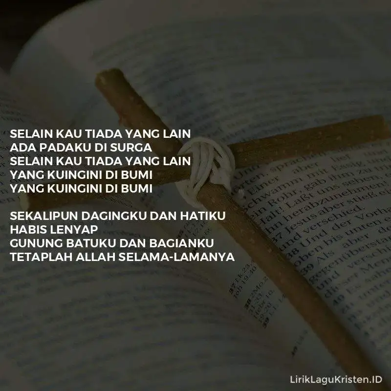 Selain Kau Tiada Yang Lain